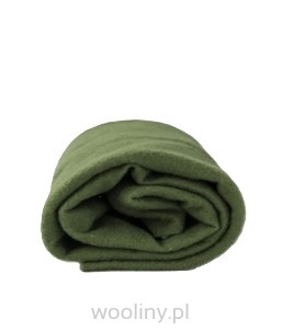 Filc igłowy prefilc wełniany ZIELONA 19mic 170g/m