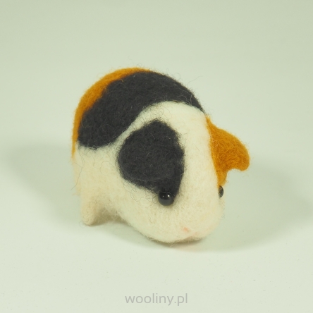 Świnka morska filcowa z wełny merynosów