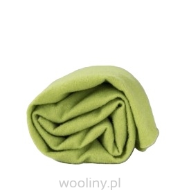 Filc igłowy prefilc wełniany JASNA ZIELONA 19mic 170g/m